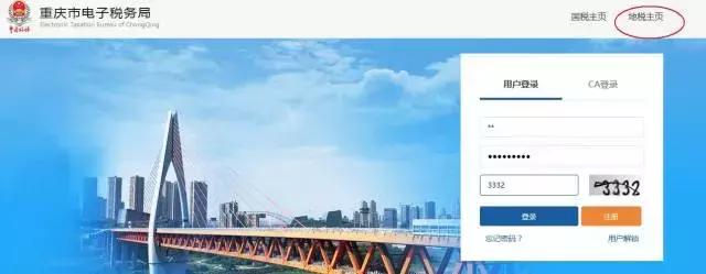电子税务局官网_税务电子网站_电子税务局内网网址